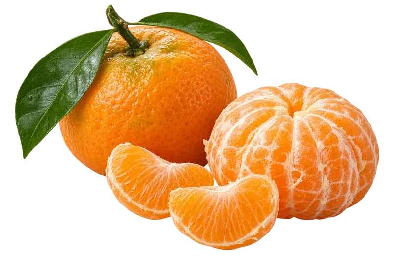 橘子